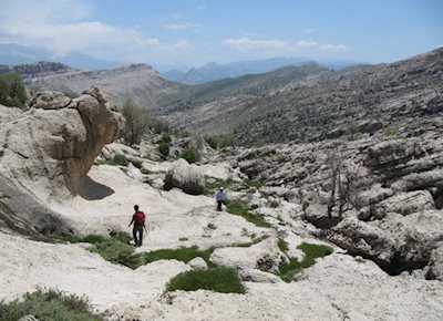 تنگ هونی
